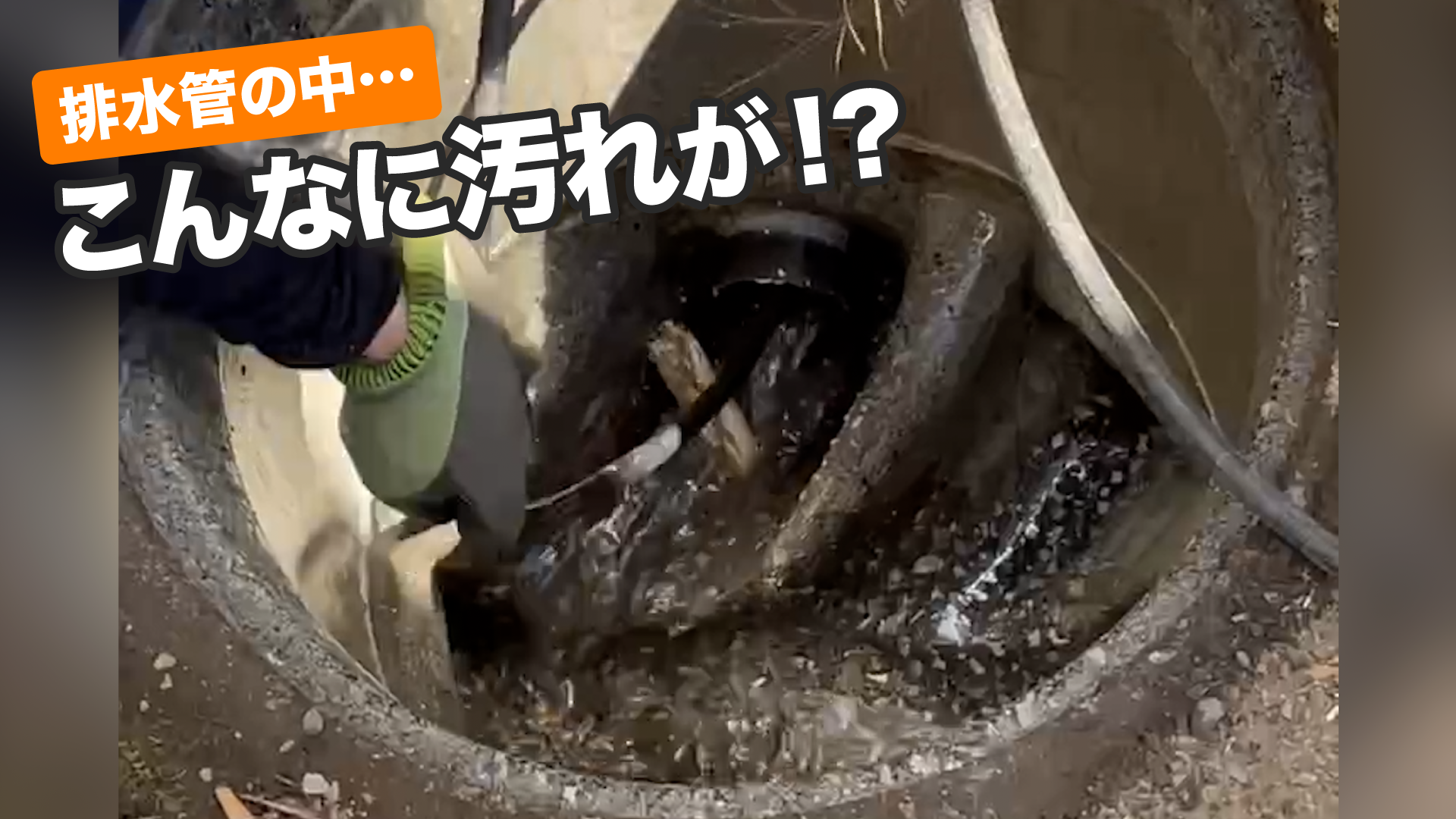 排水管洗浄 排水管洗浄 - くらいす住建